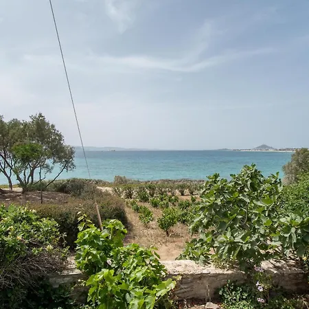 Dom wakacyjny Orkos View House Naxos City